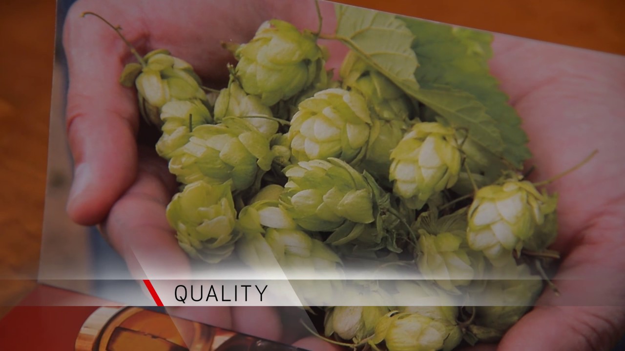 Canon Production Solutions Case Study: Allied Printing Services, Inc.