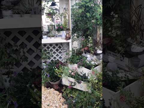 花の楽園を作るための 20 の DIY アイデアによる夏のプランター  庭園