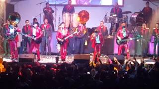 Alta Consigna - Del Negociante