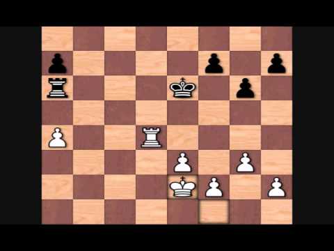 Akiba Rubinstein's Best Games: vs Aron Nimzowitsch