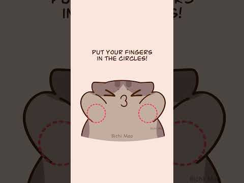 Stop! Bichi Mao is sending you a quest!