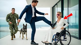 Brutal Fiancé Attacked His Bride in a Wheelchair — A Navy SEAL and His K9 Took Action