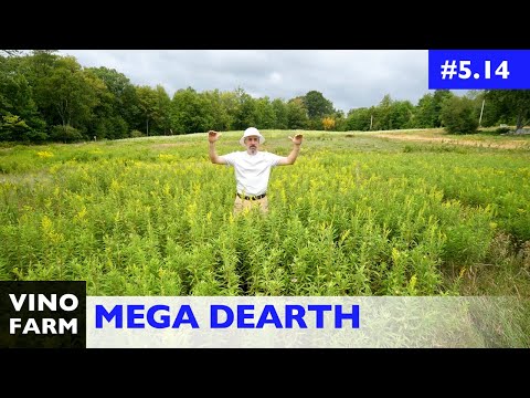 image-What is a nectar dearth?