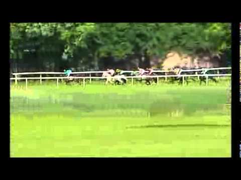 Sheikh Zayed Bin Sultan Al Nahyan International Cup 31/05/2015 en Pologne