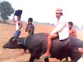 Dekho Dekho Yaar Mera Dulha Bna Hai