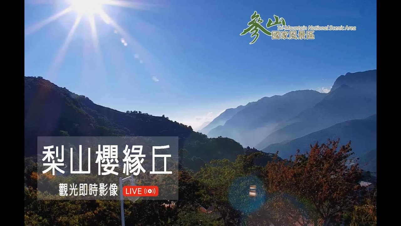 櫻緣丘｜Lishan Sakuraen Hill｜桜園の丘