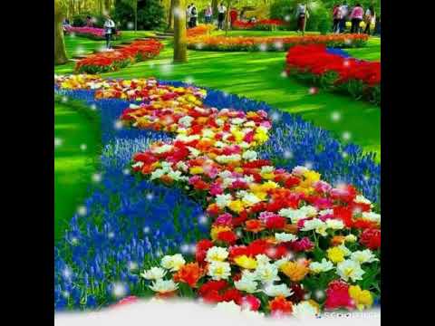 Happy Birthday Meghana Song s Happy Birthday meghana  wish s