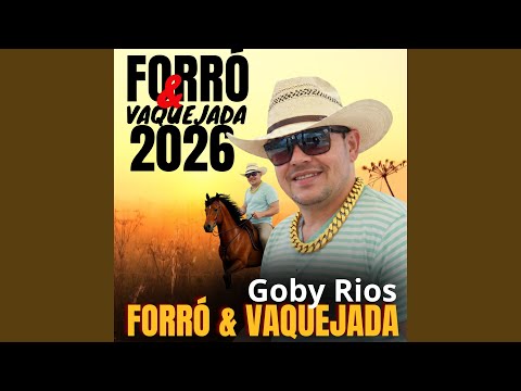 No Piseiro Ela Me Pega de Jeito