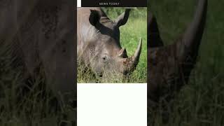 Get your daily dose of news with The Southern African Times Daily Brief!