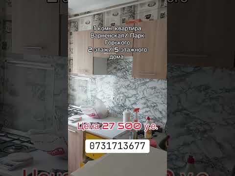 1-комнатная квартира на Варненской возле парка Горького — с мебелью и техникой