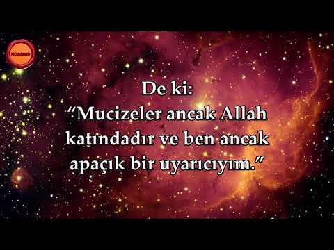 Ankebut Suresi - Nasser al Qatami