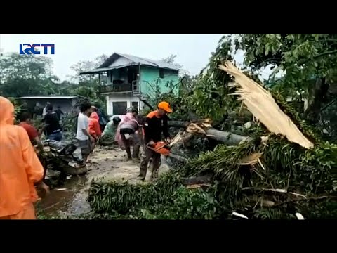 Puluhan Rumah Tertimpa Pohon Tumbang Usai Diterjang Puting Beliung di Jatim #SeputariNewsSiang 30/11