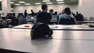 USF Engineering 3000 Lab Project: Line-Following Bullet Bill Robot