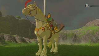 The Legend of Zelda: Breath of the Wild (Wii U) - 130 - Jini