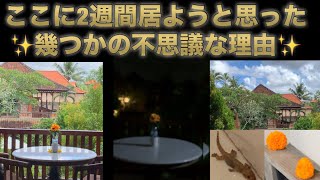 バリ島(ウブド)で亡き夫の存在を感じた不思議スピリチュアルな出来事..?! あなたはどう思う? 