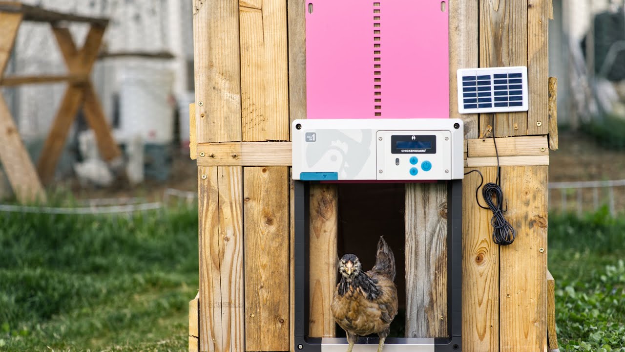 YouTube video thumbnail