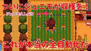 スターデューバレー 牧場生活の充実を ついに馬小屋を建築する Stardew Valley Nintendo Switch版 تحميل اغاني مجانا スターデューバレー 牧場生活の充実を ついに馬小屋を建築する Stardew Valley Nintendo Switch版 تحميل اغاني مجانا