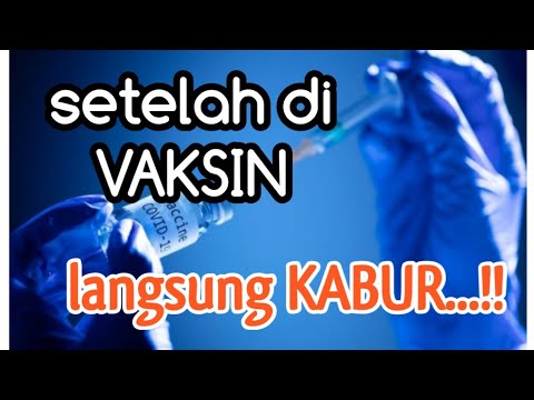 Waduuh..‼️main KABUR aja, setelah di VAKSIN.