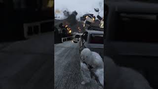 Dayum it's like a warzone here in GTA 5 short