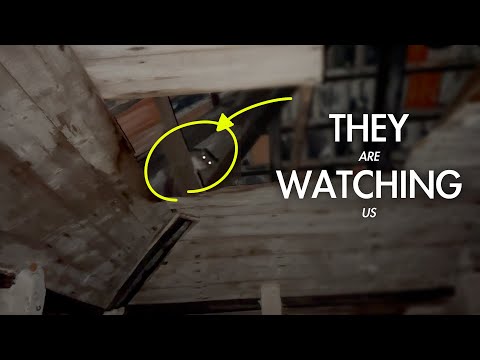 013 || Super focus at the Villa Oliva house renovation