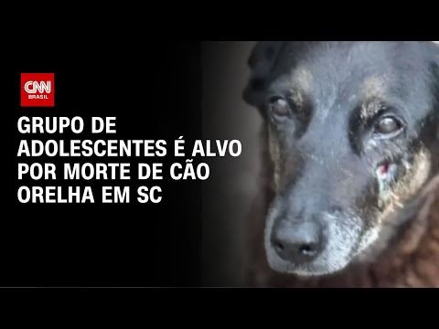 Cão Orelha: grupo de adolescentes é alvo por morte e homem por coação | CNN NOVO DIA