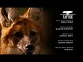 Nature End Credits 2023