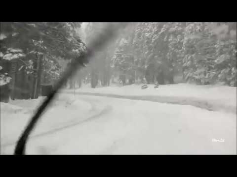 Divlje jagode-Zauvijek tvoj