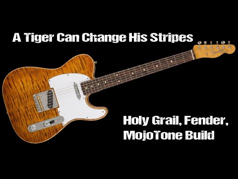 A Tiger Can Change His Stripes - Holy Grail, Fender, MojoTone Build