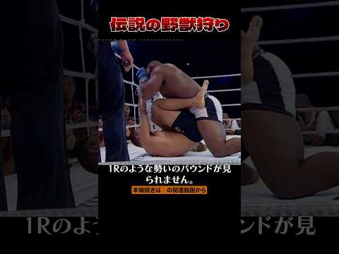 #格闘技 格闘技史に残る盛り上がりを見せた試合〜ホイス・グレイシー vs 曙〜【格闘技解説】