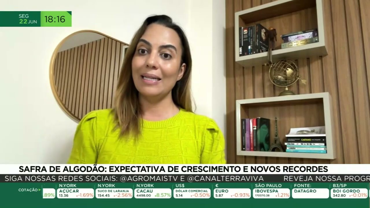 Safra de algodão: expectativa de crescimento e novos recordes