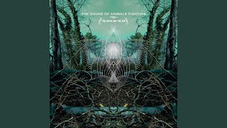 The Ocean And The Sun