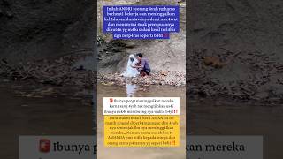 Download lagu 🔴kang dedi mulyadi‼️bantu viralkan mp3 Download lagu 🔴kang dedi mulyadi‼️bantu viralkan mp3