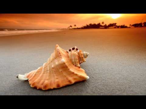 Pascal Dubois - Beachdancer (Spheric Dream Cut)