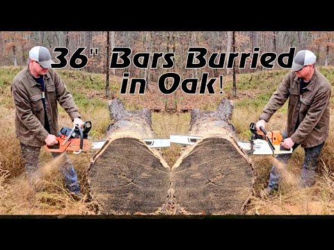 Ported Makita 7900 vs Ported Stihl 064