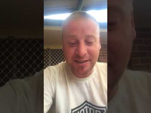 Bovines ( Heathens parody )