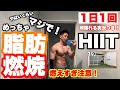 【1日1回】そりゃ痩せる!体脂肪が燃焼しまくるHIITトレーニング!道具なし・家でできる!