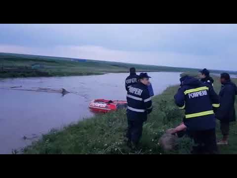 Dorohoi News - Inundatii Paraul Miletin, judetul Botosani - salvare animale (06.06.2019)