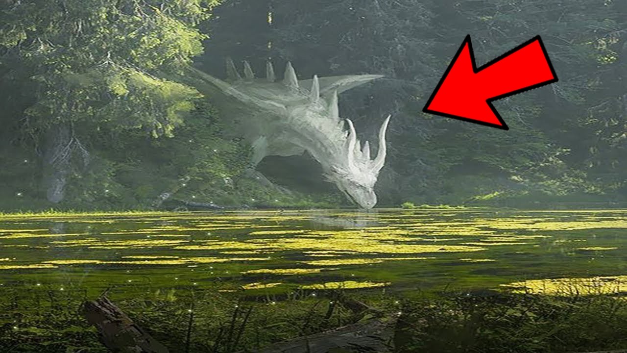 Se Estes Momentos na Floresta Não Fossem Filmados, Ninguém Acreditaria