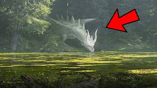 Se Estes Momentos na Floresta Não Fossem Filmados, Ninguém Acreditaria