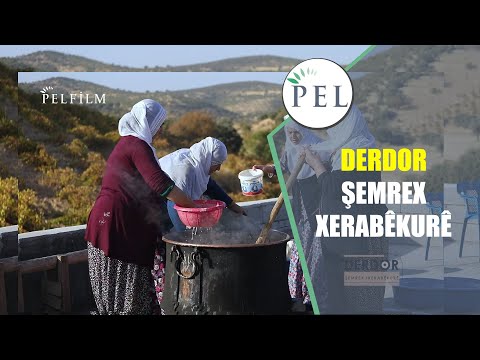 DERDOR  - ŞEMREX / XERABÊKURÊ