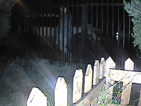 Gloria Momberg Yomevacuno Otoño 17 de abril de 2021