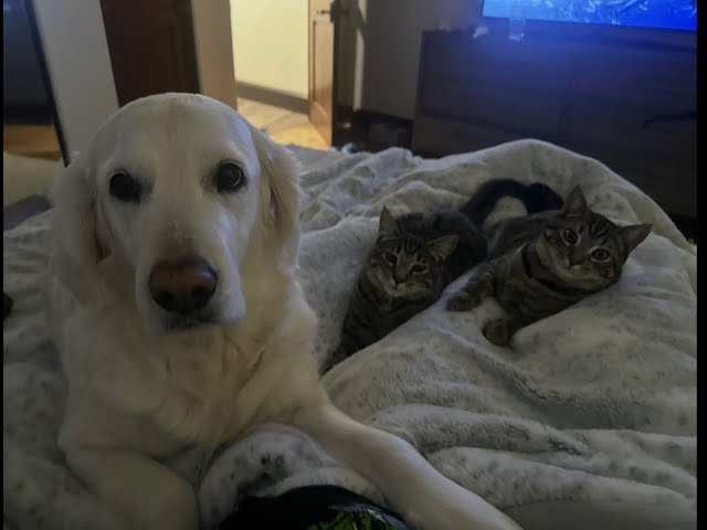 Episode 3071 CWSA - The Scott Adams School 01/13/26