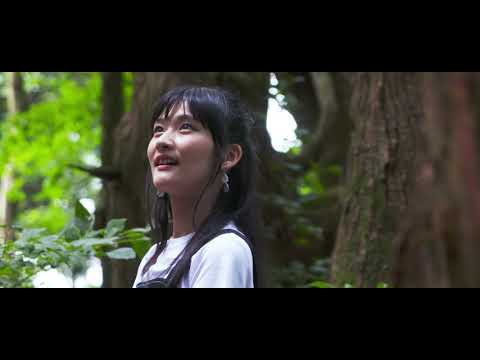 幻想の森　　山形県戸沢村
