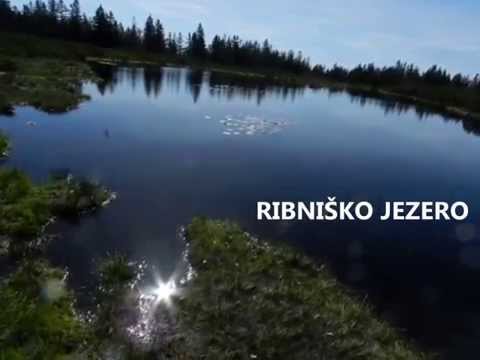 Zreška pomlad najlepše pesmi so le tam doma ---POLETNA POTEPANJA-1-POHORJE