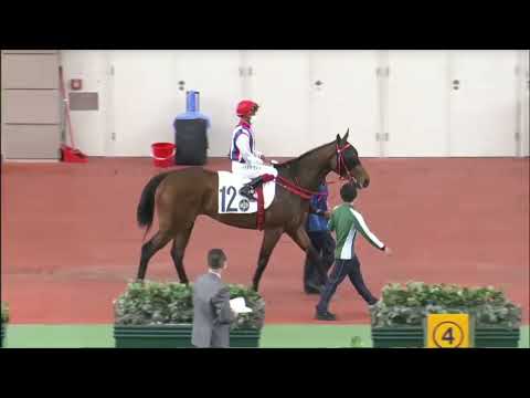 2022 03 06 沙田 第五場 聚風雲 楊明綸