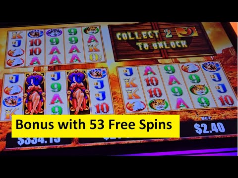 Super Big Win on the Buffalo and Friends Slot!! Aristocrat Game