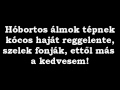 Bye Alex Az én kedvesem szöveg 