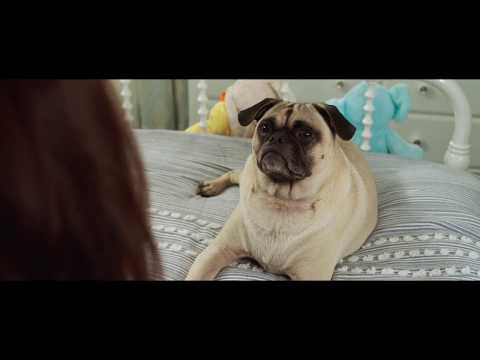 Dog Days - Official Trailer Canada