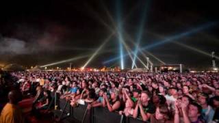 Bay laurel - The dying