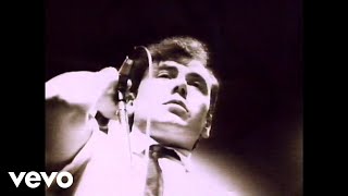 The Godfathers - 'cause I Said So video